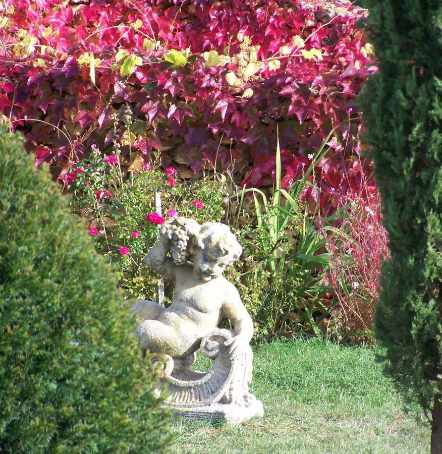 La Charmeraie Saint-Cirq (Tarn-et-Garonne) Exterior photo